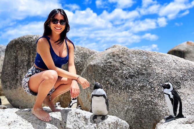 MUST DO: Boulders Beach & Cape Point Full Day Tour #1 Rated - Hout Bay morning: ocean air, harbor time, and an optional seal cruise