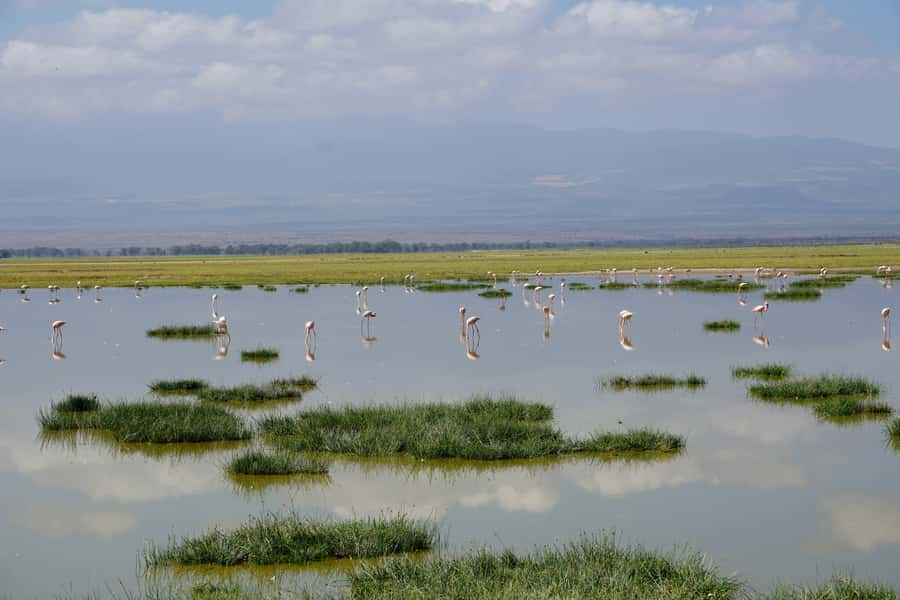 Nairobi: Day Tour to Amboseli National Park & Maasai Village - The Nairobi drive: what the long day really feels like