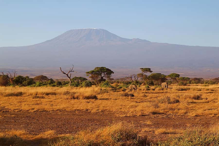 Nairobi: Day Tour to Amboseli National Park & Maasai Village - Price and logistics: does $75 feel worth it once you add the real costs?