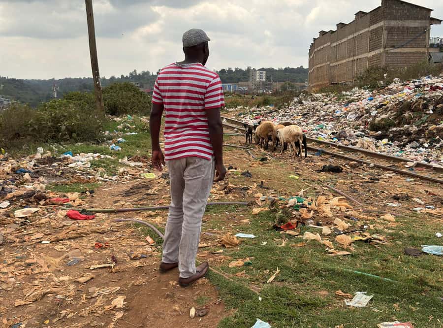 Nairobi: Explore Kibera Slum with Local Guides - Key things I’d circle on your planning list