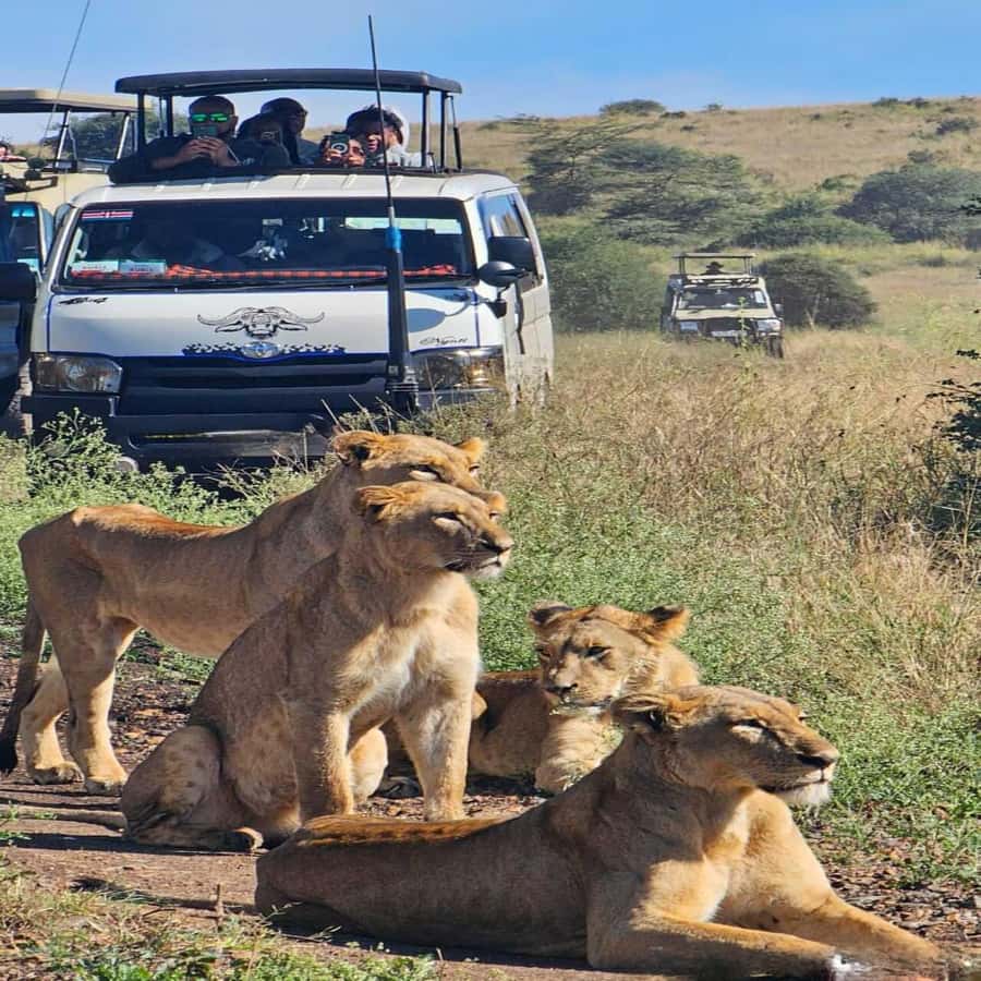 Nairobi National Park 5-hour Guided Game Drive Free Pick up - Key Things That Make This Tour Worth Your Time
