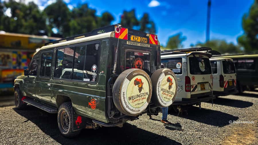 Nairobi National Park 5-hour Guided Game Drive Free Pick up - Should You Book This Nairobi National Park Half-Day Safari?