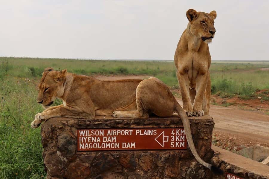 Nairobi National Park, Elephant Orphanage and Giraffe Centre - Kazuri Beads Factory: The Craft Stop That Actually Adds Value