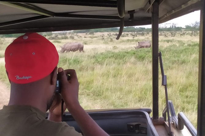 Nairobi National Park Half-Day Tour; Free Wi-Fi connection - Game drive search: black rhinos, lions, and the photo-friendly moments