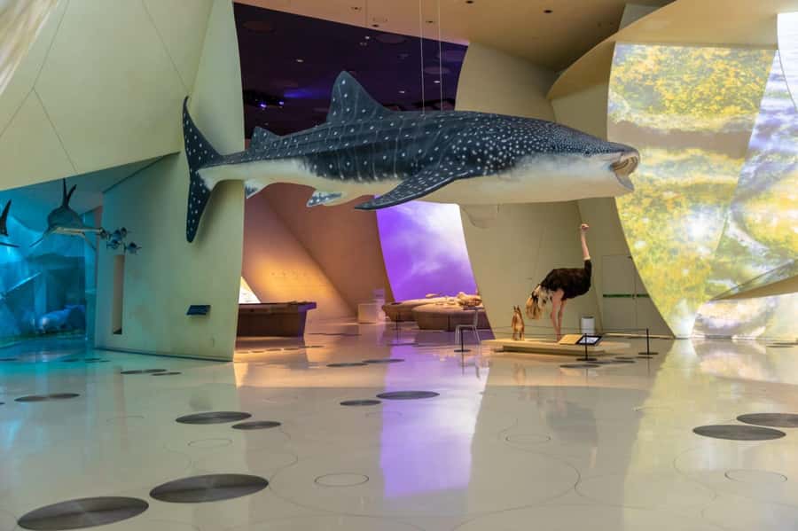 National Museum of Qatar: Admission Ticket - Key things that make this museum ticket worth your time