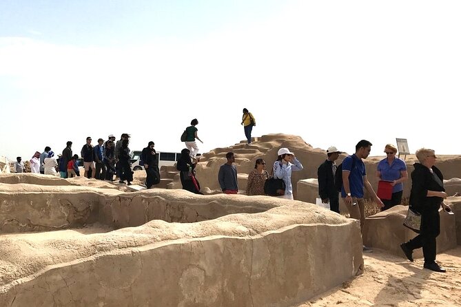 North Qatar Half-Day Tour: Al Zubarah, Purple Island & Mangroves - Why This Half-Day Tour Works So Well From Doha