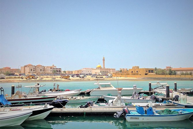 North Qatar Half-Day Tour: Al Zubarah, Purple Island & Mangroves - Purple Island (Al Khor Island) and the Mangroves: What to Expect