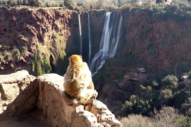Ouzoud Waterfalls Full Day Trip From Marrakech - Boat Ride Time: The Cool-Down Option (And Why It Can Cost Extra)