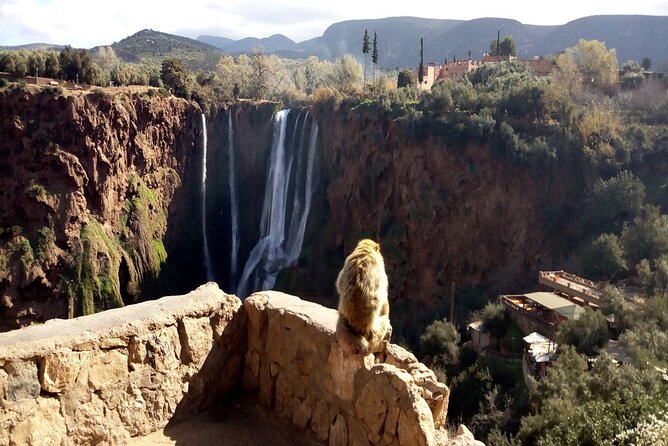 Ouzoud Waterfalls Full Day Trip From Marrakech - Group Size and Comfort: Max 17 vs. Big-Day Reality