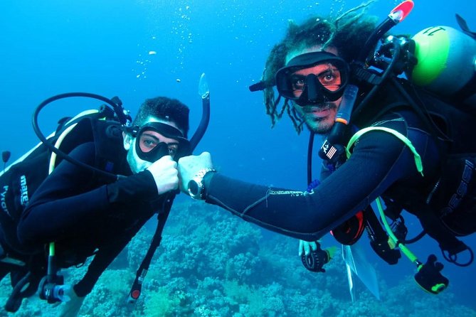 PADI Open Water Diver Course - Key Things That Make This Course Worth Your Time