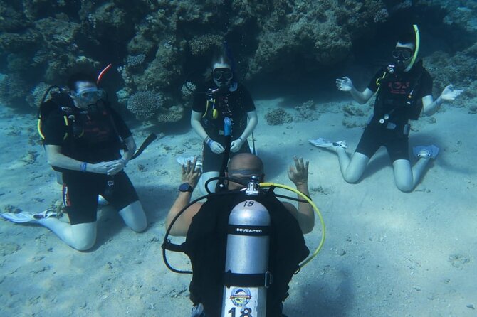 PADI Open Water Diver Course - Sharm el Sheikh Sets Up Great Learning Conditions