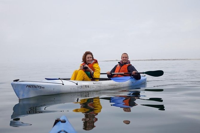 Pelican Point Kayaking Half-Day Tour - The 8:00 meeting and the half-day timing that fits real travel days