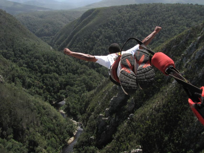 Plettenberg Bay: Bungee Jumping with Zipline and Sky Walk - Key things I’d clock before you book