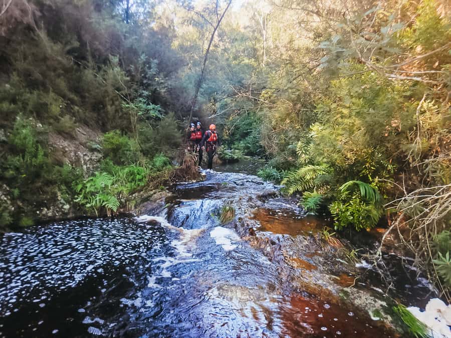 Plettenberg Bay: Canyoning Trip - The ropes course and the 25-meter abseil