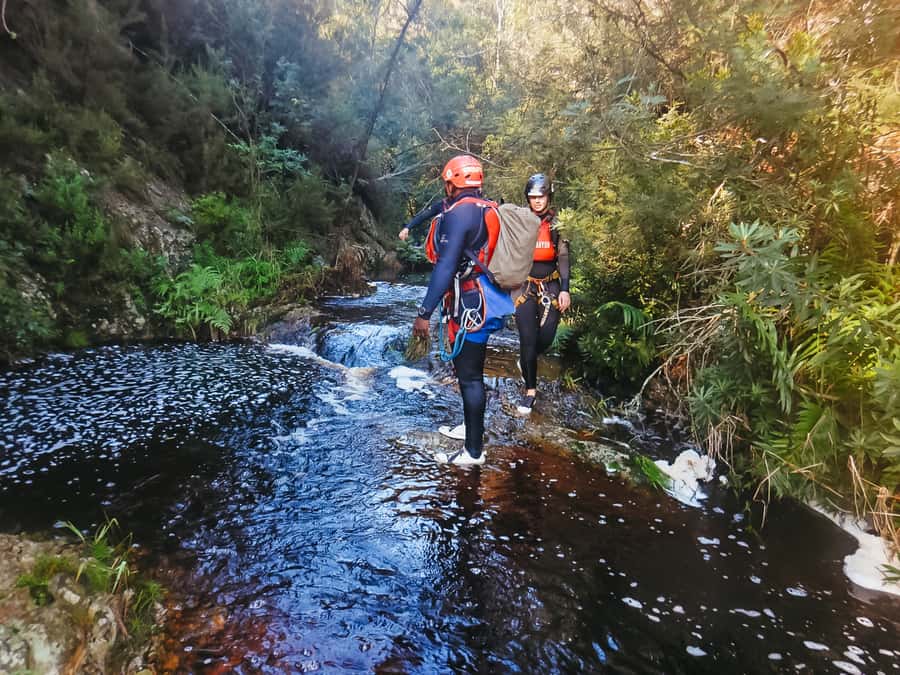 Plettenberg Bay: Canyoning Trip - Jumps, river swims, and choosing your comfort level
