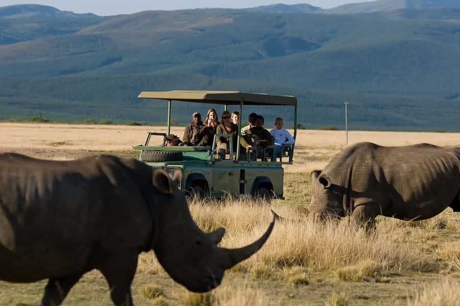 Plettenberg Bay Game Reserve: 2-Hour Game Drive - Ranger-Led Driving: The Value of a Good Guide