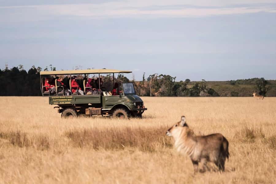 Plettenberg Bay Game Reserve: 2-Hour Game Drive - Where You Start: Safari Center Timing and First Impressions