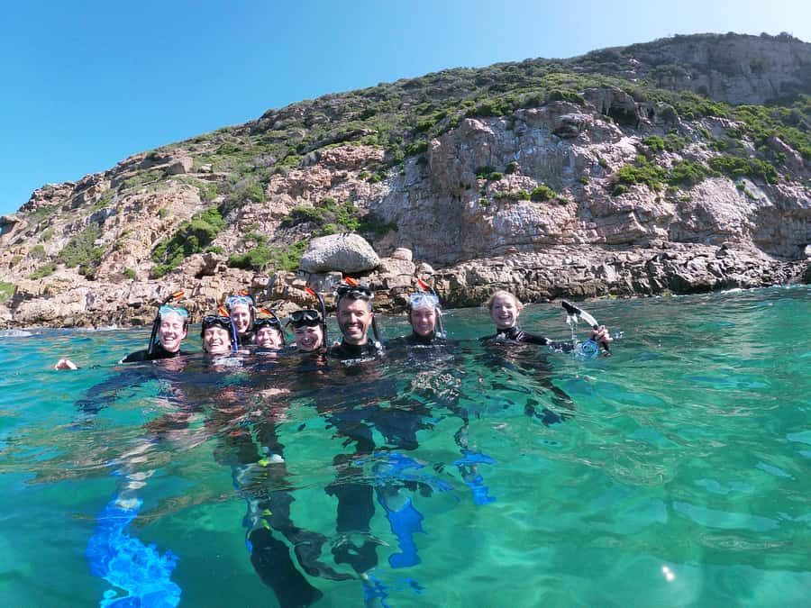 Plettenberg Bay: Swim with Seals - Key Points You’ll Care About