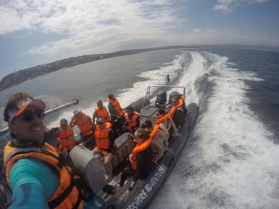 Plettenberg Bay: Swim with Seals - Your Swim With Cape Fur Seals: What “Respectful” Looks Like