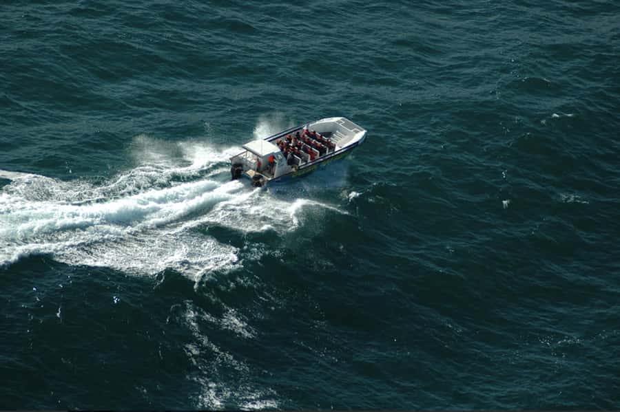 Plettenberg Bay: Whale Watching Boat Cruise - Whales off Plettenberg Bay: June to November and what sightings mean