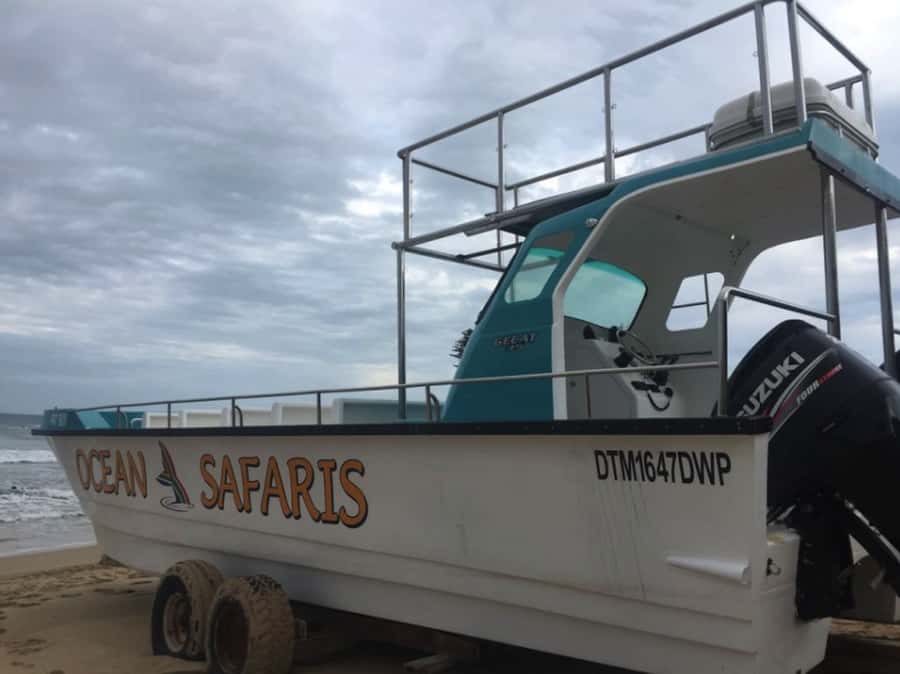Plettenberg Bay: Whale Watching Boat Cruise - Weather and cancellations: how to protect your day