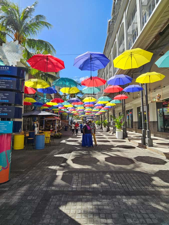 Port Louis: Mont Choisy, Botanical Garden, and Church Tour - A smart private route for north Mauritius: city views, garden time, beach breaks