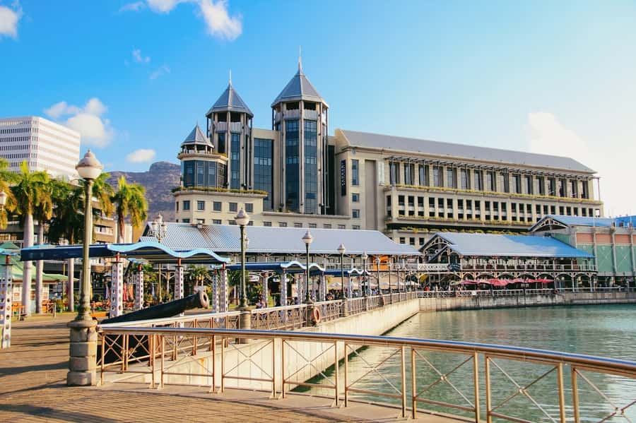 Port Louis: Mont Choisy, Botanical Garden, and Church Tour - Pamplemousses Botanical Garden: what you’ll see and how to handle the ticket gap