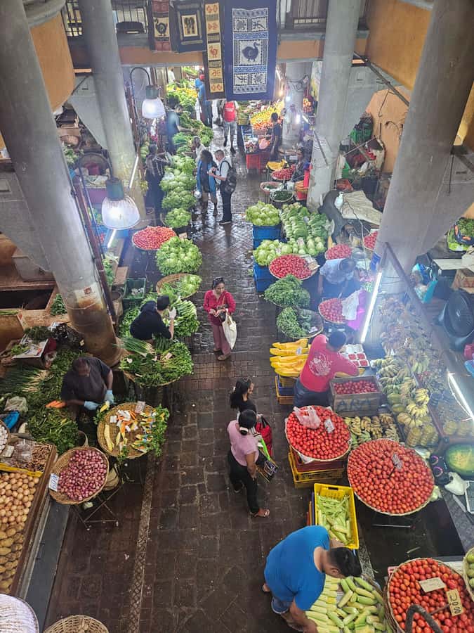 Port Louis: Mont Choisy, Botanical Garden, and Church Tour - Cap Malheureux Church: that red landmark stop with culture value