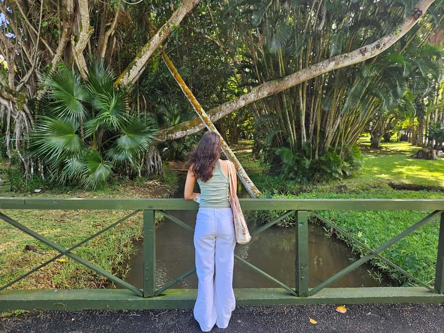 Port Louis: Mont Choisy, Botanical Garden, and Church Tour - Timing and comfort notes for a full-day circuit