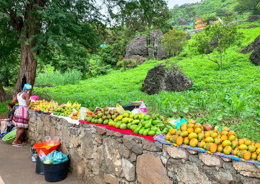 Praia: Santiago Island Tour with Tastings and Tarrafal Beach - What to bring (and what will make the day easier)