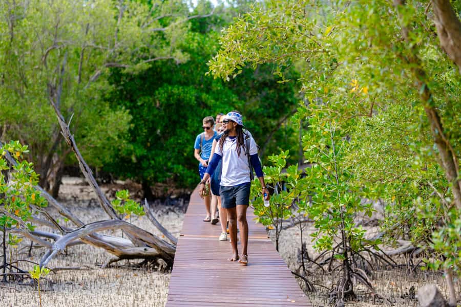 Praslin: Curieuse & St. Pierre Full-Day Boat Trip with Lunch - Price and Logistics: What $93 Covers (and What Adds Up)