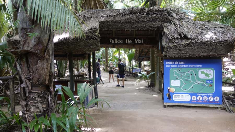 Praslin: Vallée de Mai and Anse Lazio Beach Full-day Tour - A 7.5-Hour Praslin Day: Vallée de Mai plus Anse Lazio
