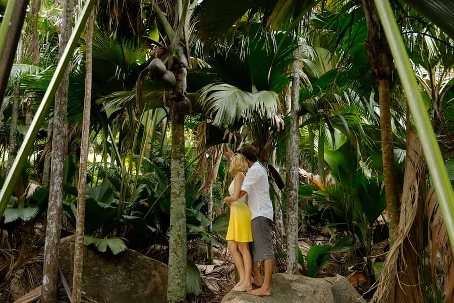 Praslin: Vallée de Mai and Anse Lazio Beach Full-day Tour - FAQ