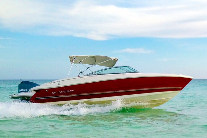 PRIVATE! | 4-hour Speed Boat Trip | Swim With Dolphins, Snorkeling & Island - Dolphin House and El Fanadir: Your Best Odds for Real Encounters