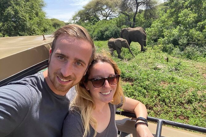 Private 6-Day Tarangire Manyara Crater and Serengeti with Mid-Range Lodges - Tarangire National Park: River of Warthogs and Elephant Families