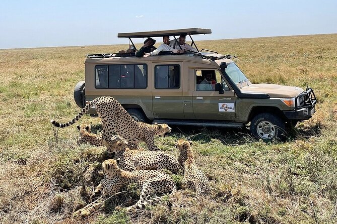 Private 6-Day Tarangire Manyara Crater and Serengeti with Mid-Range Lodges - Ngorongoro Crater Descent: Volcanic Walls, Black Rhino Chances, and 500+ Birds