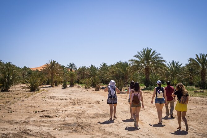 Private Driver for a full day in Marrakech - Why a private driver day works so well in Marrakech