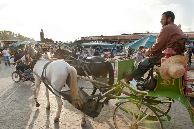 Private Driver for a full day in Marrakech - Pickup and getting around without taxi math