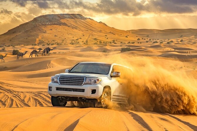 Private Evening Desert Safari with BBQ Dinner Dubai - Guide quality and the small service details that affect your night