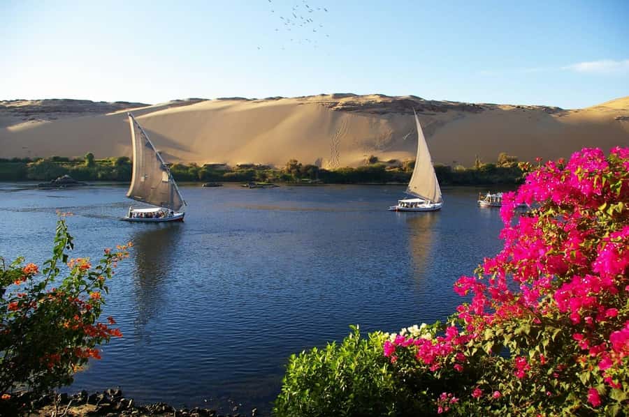 Private Felucca Ride on the Nile River - Transfers matter more than you think in Cairo