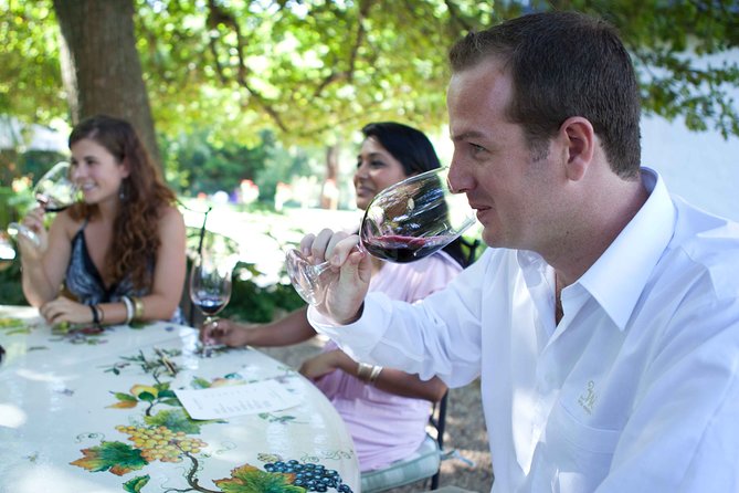 Private Full Day Stellenbosch Wine Tour with Pick Up and Drop Off - Stop 2: L’Avenir cheese and wine pairing (where the food teaches you the wine)