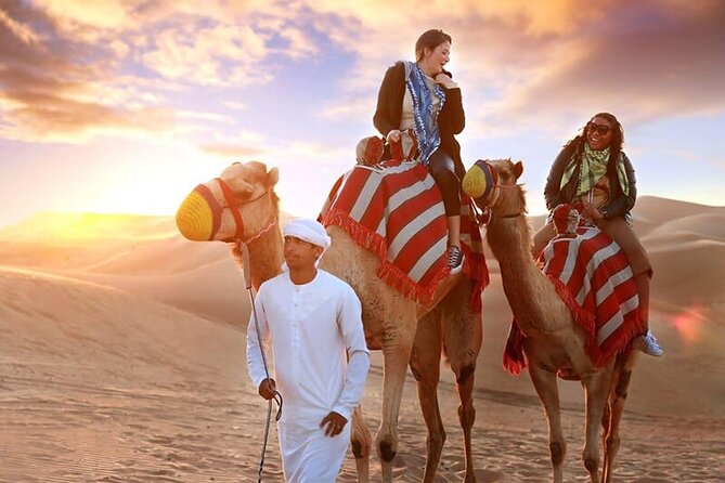 Private Premium Desert Safari 4x4 Vehicle with BBQ Dinner - DUBAI - BBQ dinner under desert skies (and what the show adds)