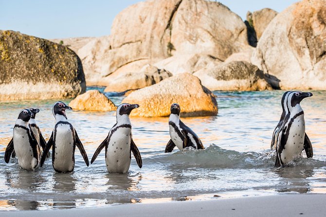 Private Tour: Cape of Good Hope and Cape Point from Cape Town - Cape of Good Hope: the name-board photo and the monuments stop