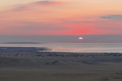 Private tour El Fayoum Oasis and Wadi Rayan waterfall from Cairo - Stop 1: Lake Qarun (Qaroun) and the calm side of Fayoum