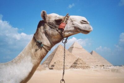 Private Tour: Giza Pyramids, Sphinx, Memphis, Sakkara - Optional Inside Access and the Solar Boat Museum Add-On