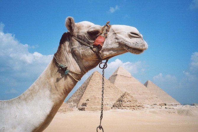 Private Tour: Giza Pyramids, Sphinx, Memphis, Sakkara - Optional Inside Access and the Solar Boat Museum Add-On