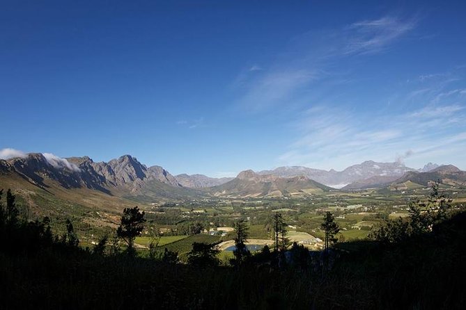Private Wine Tour with Wine Expert to Stellenbosch-Franschhoek Wine Regions - Stop-by-Stop: What Each Winery Moment Feels Like