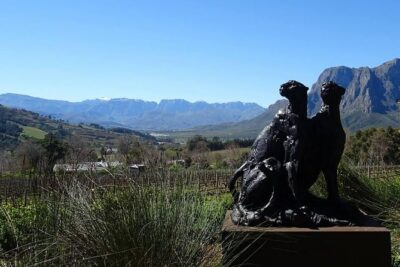 Private Wine Tour with Wine Expert to Stellenbosch-Franschhoek Wine Regions - Customization With a Wine Expert: Your Tastes Actually Matter