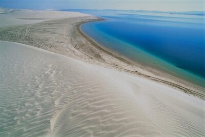 Qatar Gold Dune Safari, Dune Bashing,Camel Ride,Sand Boarding,Inland Sea Desert - Dune Bashing and Sandboarding: Adrenaline With a Safety Backbone