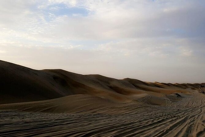 Qatar Sunset Desert Safari: Dune Bashing & Golden Sands Adventure - Should You Book This Sunset Safari to Qatar’s Golden Sands?